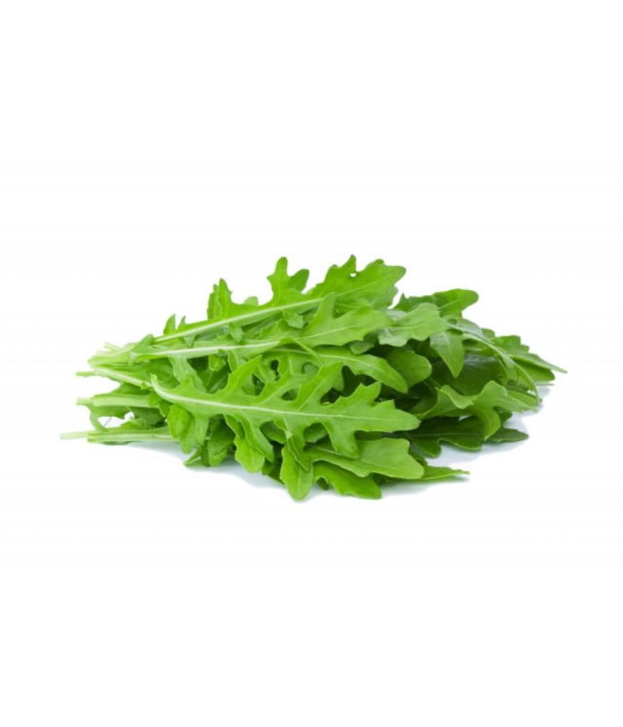 ROQUETTE ORIGINE FRANCE BARQUETTE DE 0,5 KG VENDU PAR PACK DE 2 PIECES PACK DE 2 ROQUETTE ORIGINE FRANCE BARQUETTE DE 0,5 KG VENDU PAR PACK DE 2 PIECES PACK DE 2