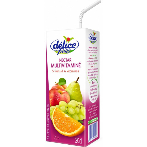 BRIQUE DE JUS DÉLICE DE FRUITS NECTAR MULTIVITAMINÉ 20CL