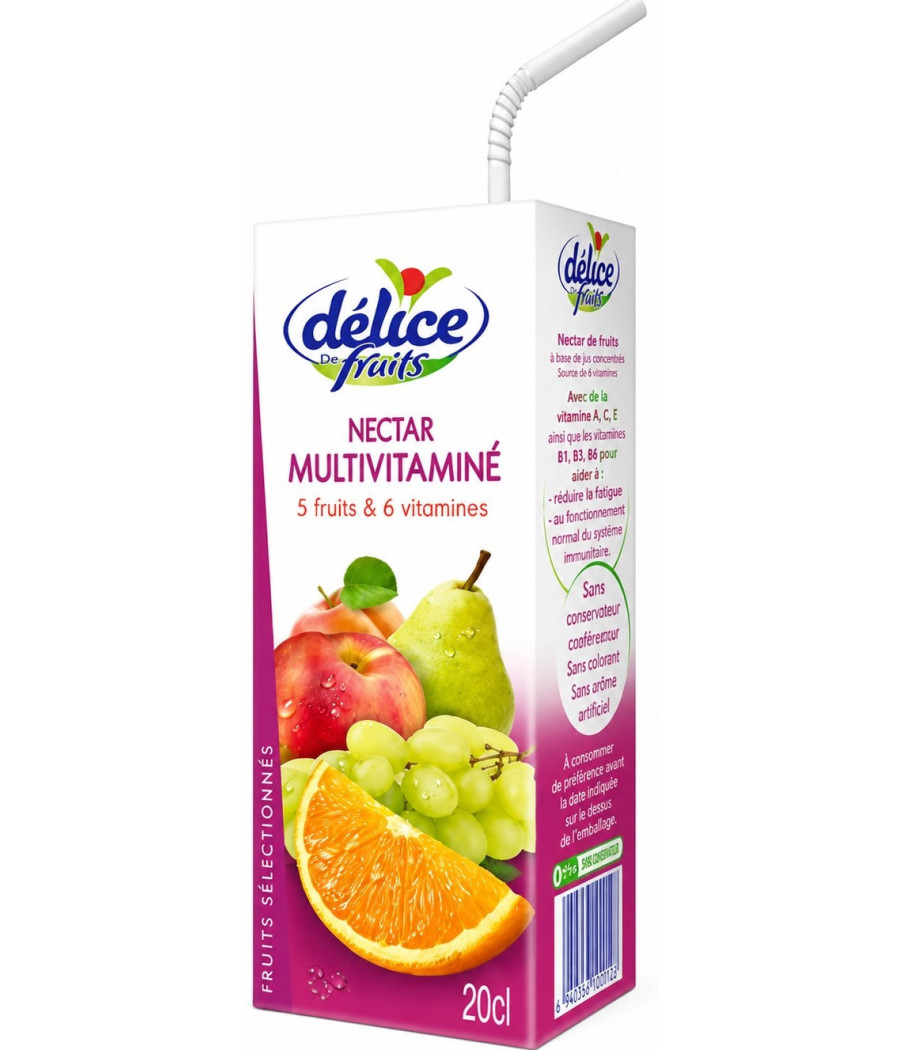 BRIQUE DE JUS DÉLICE DE FRUITS NECTAR MULTIVITAMINÉ 20CL