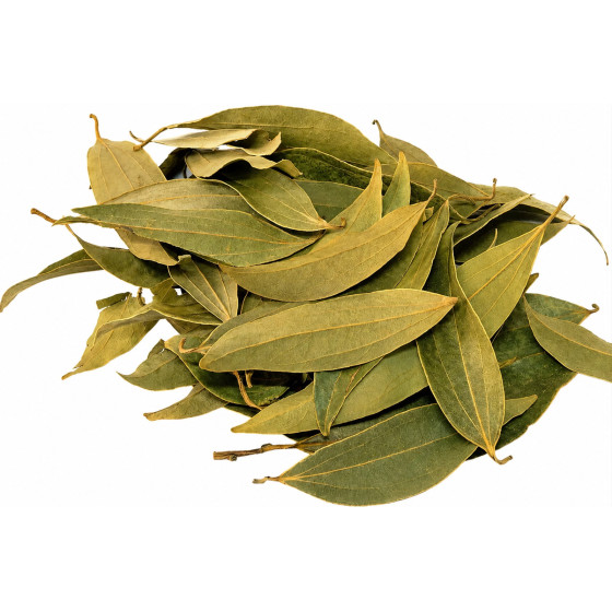 FEUILLE DE CANNELLE