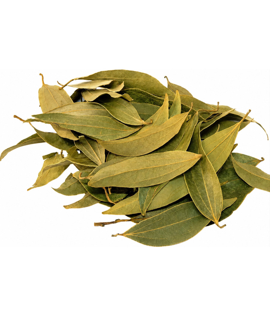 FEUILLE DE CANNELLE