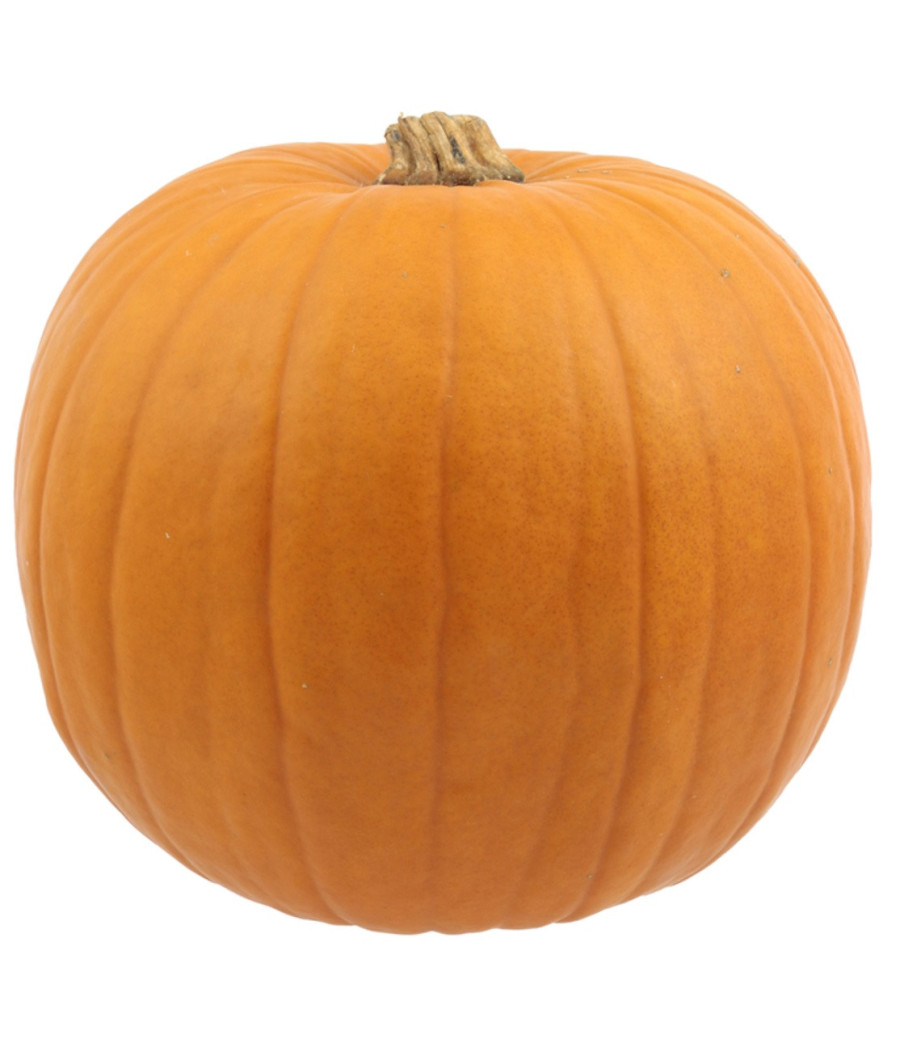 CITROUILLE EXTRA