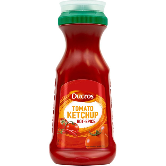 TOMATO KETCHUP HOT EPICE DUCROS 350G
