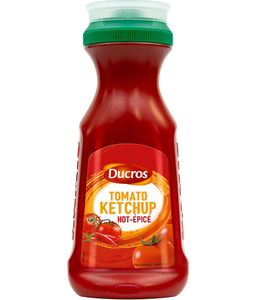 TOMATO KETCHUP HOT EPICE DUCROS 350G