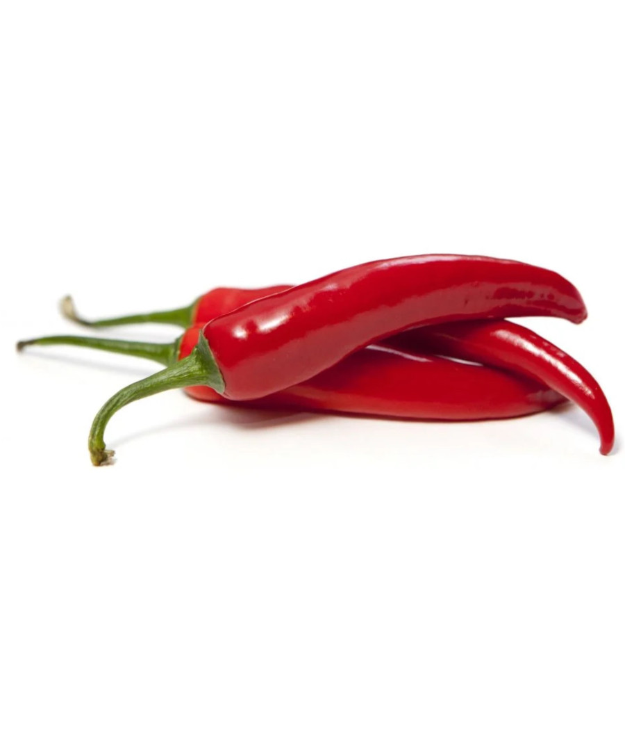 PIMENT OISEAU