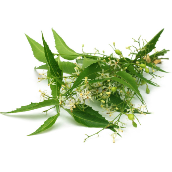 BOUQUET NEEM(150 MALADIES)