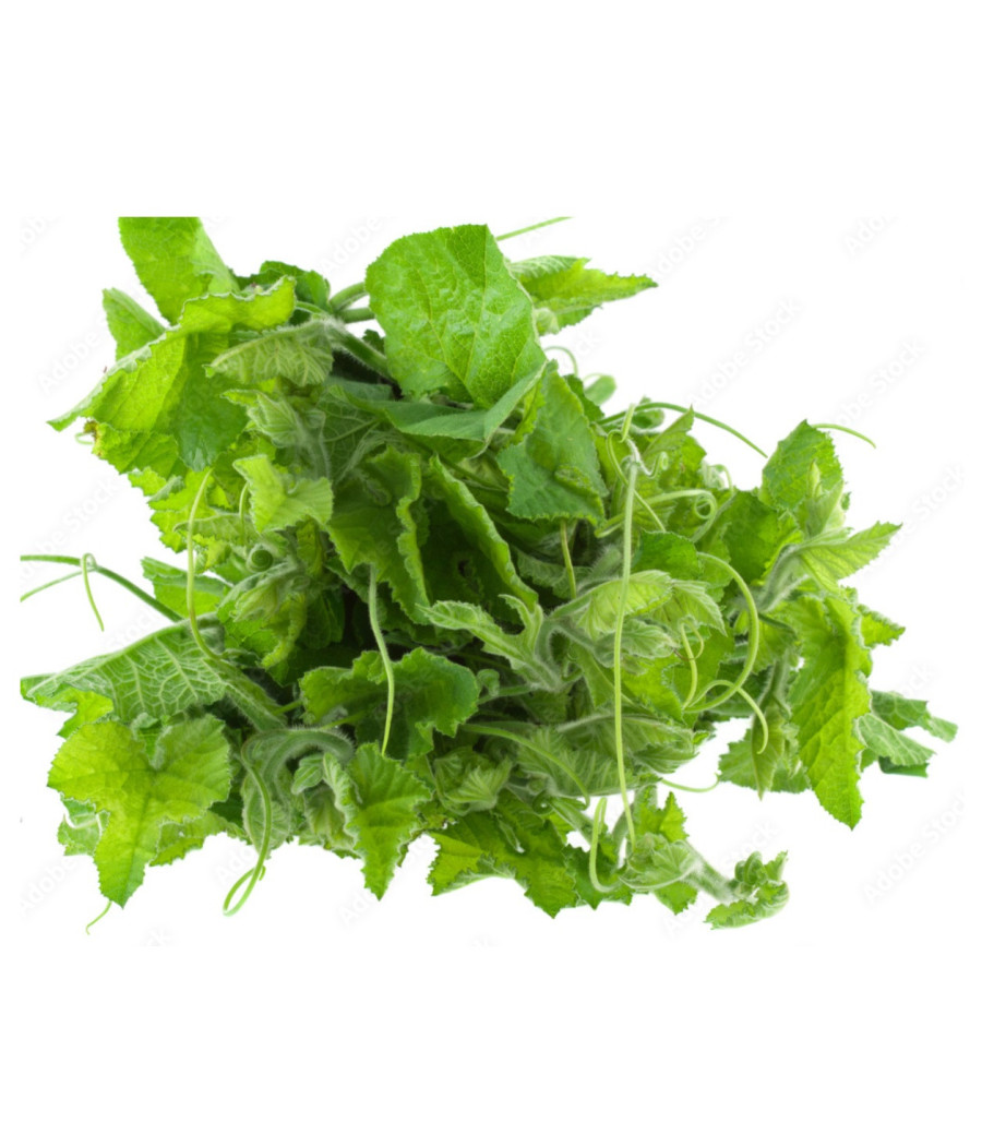 BREDE CITROUILLE