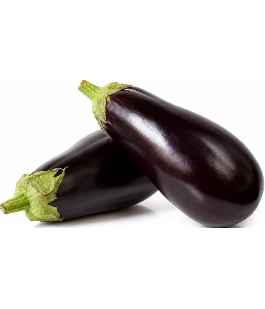 AUBERGINE NOIRE EXTRA