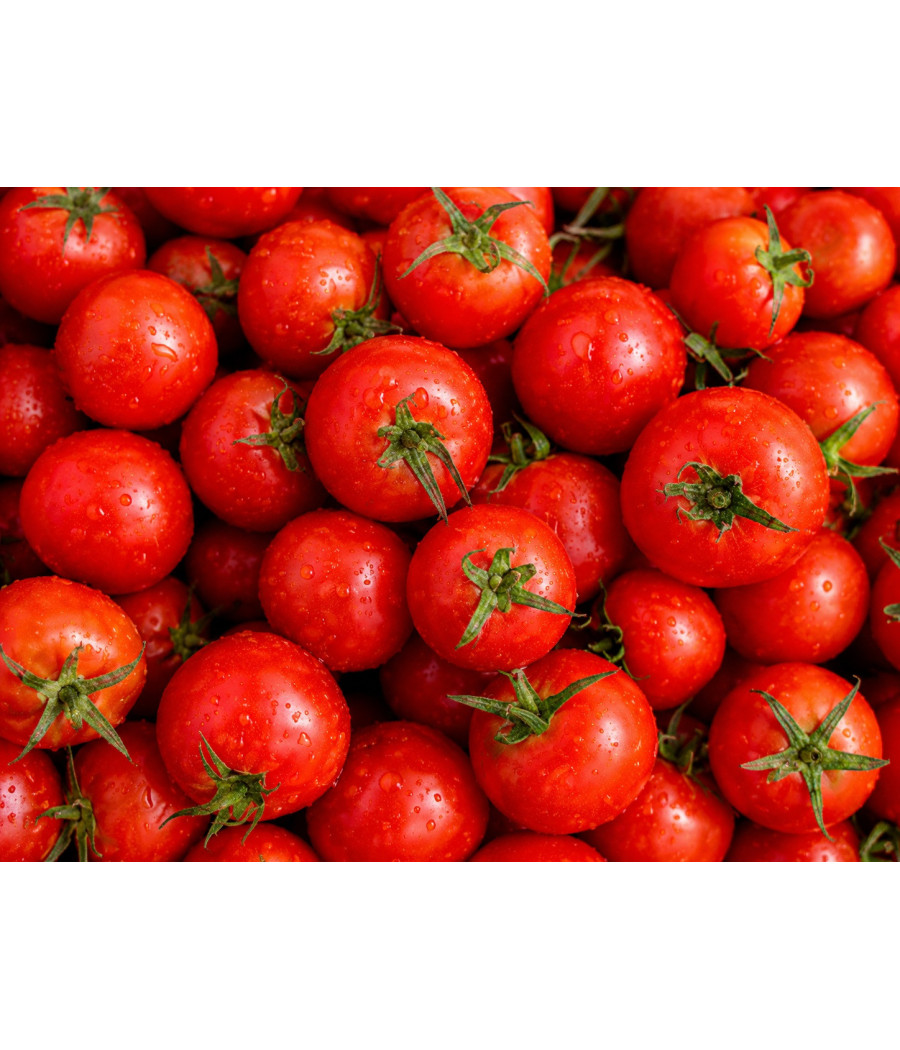 TOMATE VRAC EXTRA
