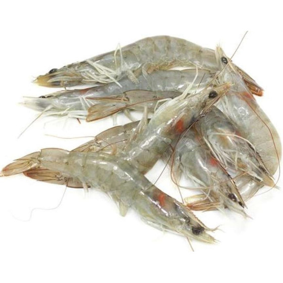 CREVETTES CRUES 31_40 300G