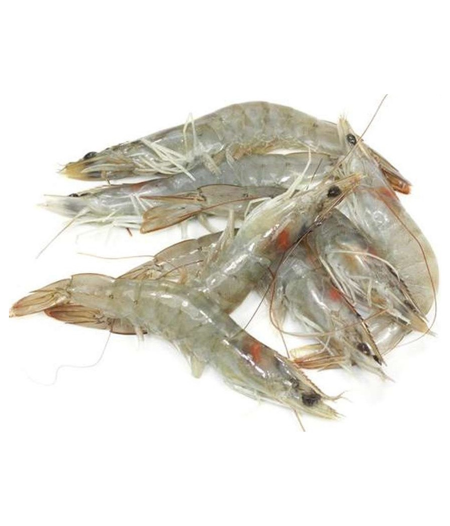 CREVETTES CRUES 31_40 300G