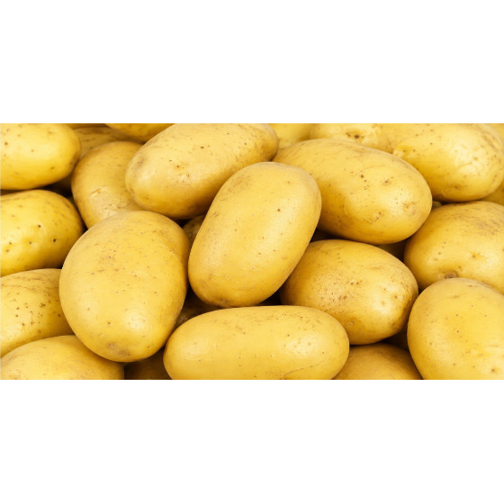 POMME DE TERRE VRAC ACHAT LOCAL