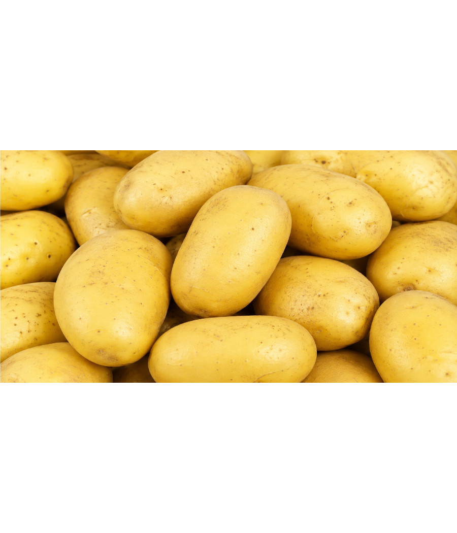 POMME DE TERRE VRAC ACHAT LOCAL