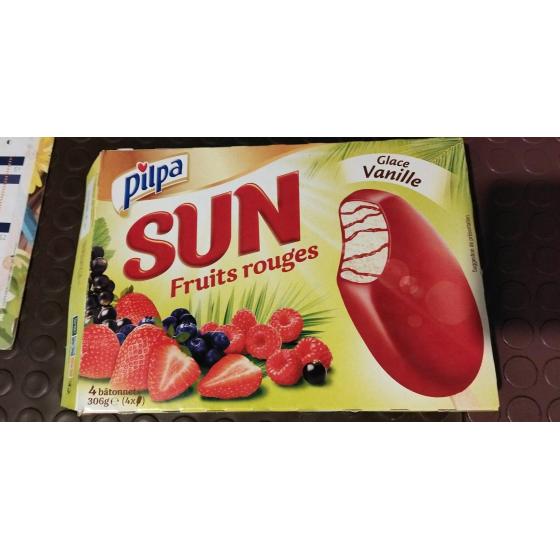 SUN FRUITS ROUGES 306 G