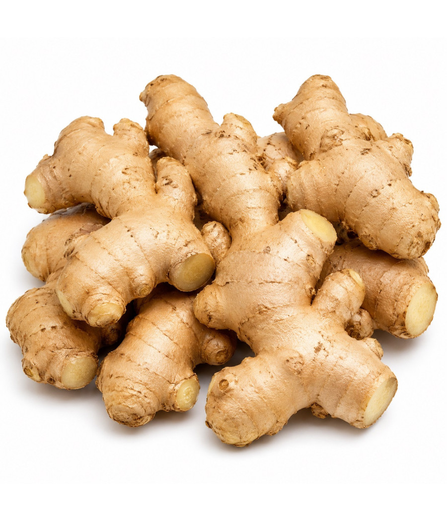 GINGEMBRE RAPEE 1KILO