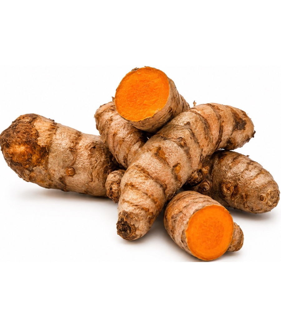 CURCUMA JAUNE ORIGINE MAYOTTE