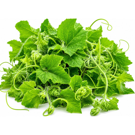 BREDE CITROUILLE