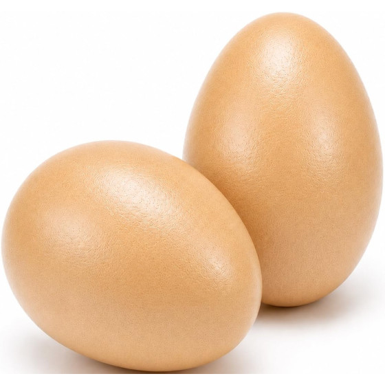 OEUFS 2 PCS