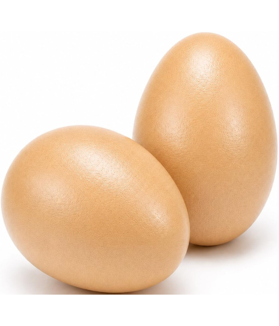 OEUFS 2 PCS