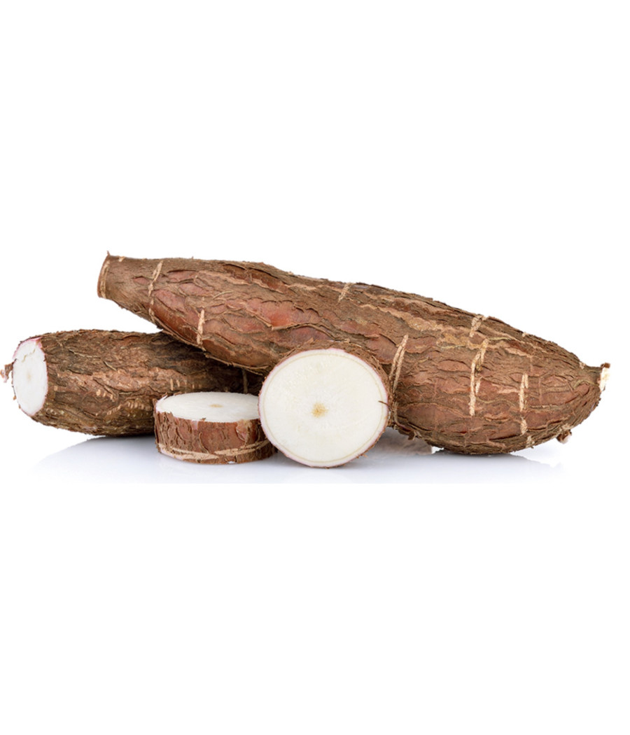 MANIOC RACINE EXTRA ORIGINE MAYOTTE