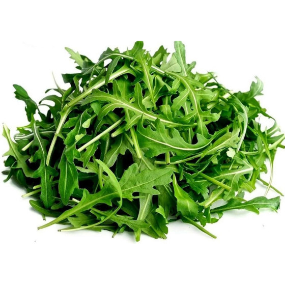 ROQUETTE BOTTE