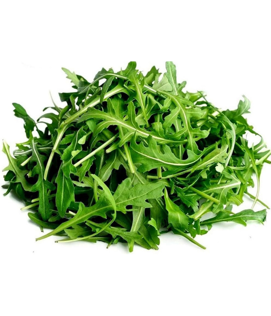 ROQUETTE ORIGINE MAYOTTE