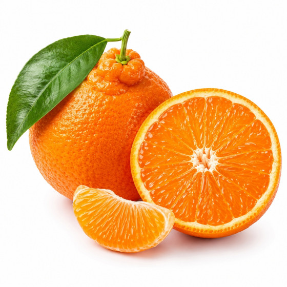 ORANGE TANGELO