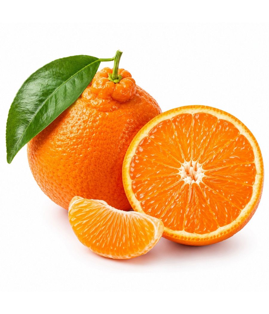 ORANGE TANGELO ORIGINE MAYOTTE