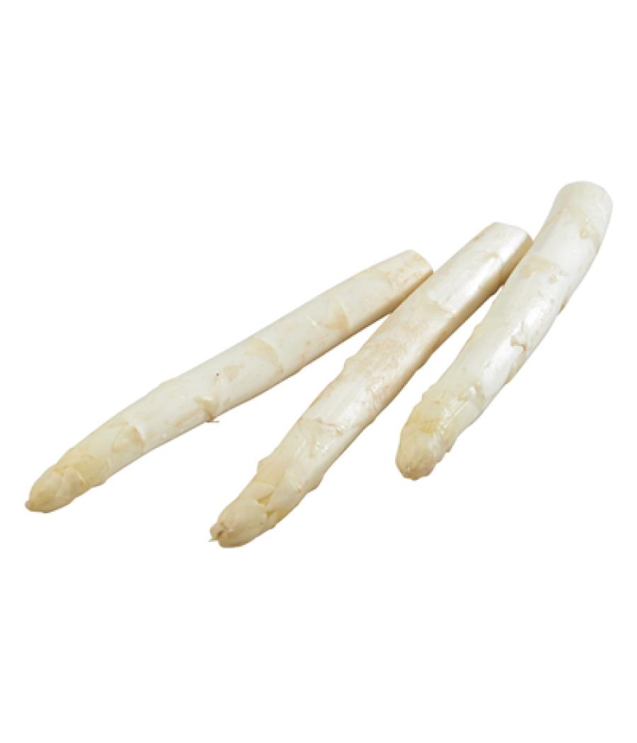 ASPERGE BLANCHE CATEGORIE 1 PAYS-BAS BOTTE DE 420 G