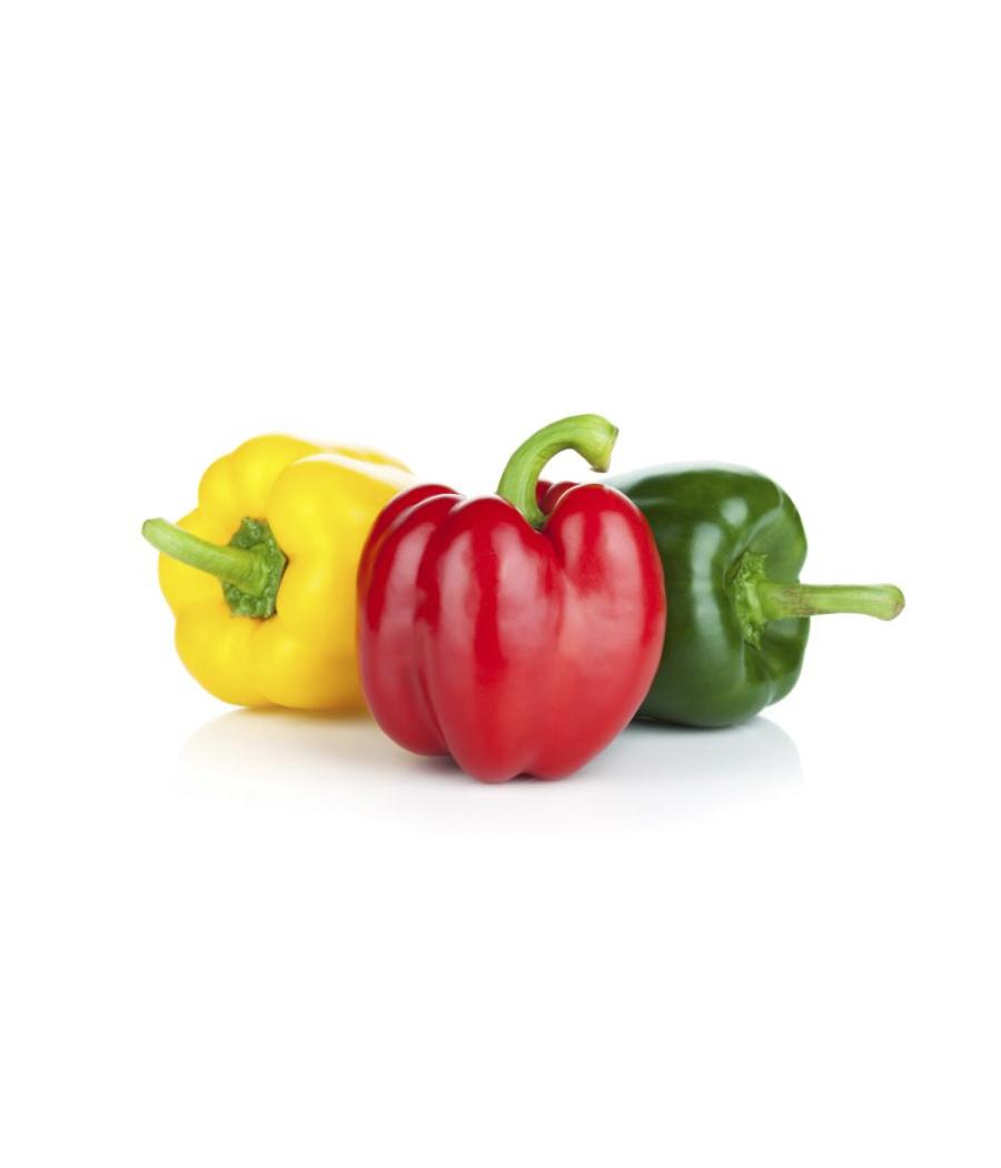 POIVRON MIXTE CALIBRE 70/90 CATEGORIE 1 ESPAGNE 1.2 KG