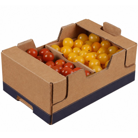 TOMATE CERISE DUO CATEGORIE 1 ESPAGNE