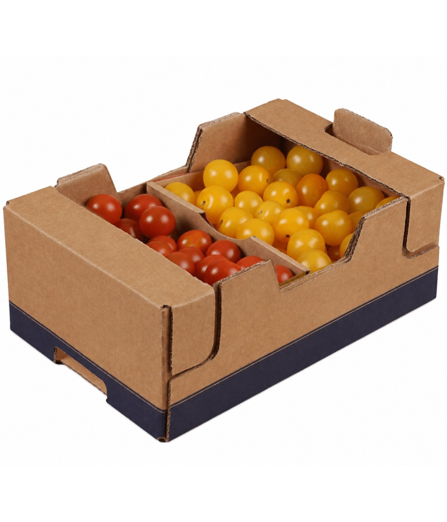 TOMATE CERISE DUO CATEGORIE 1 ESPAGNE