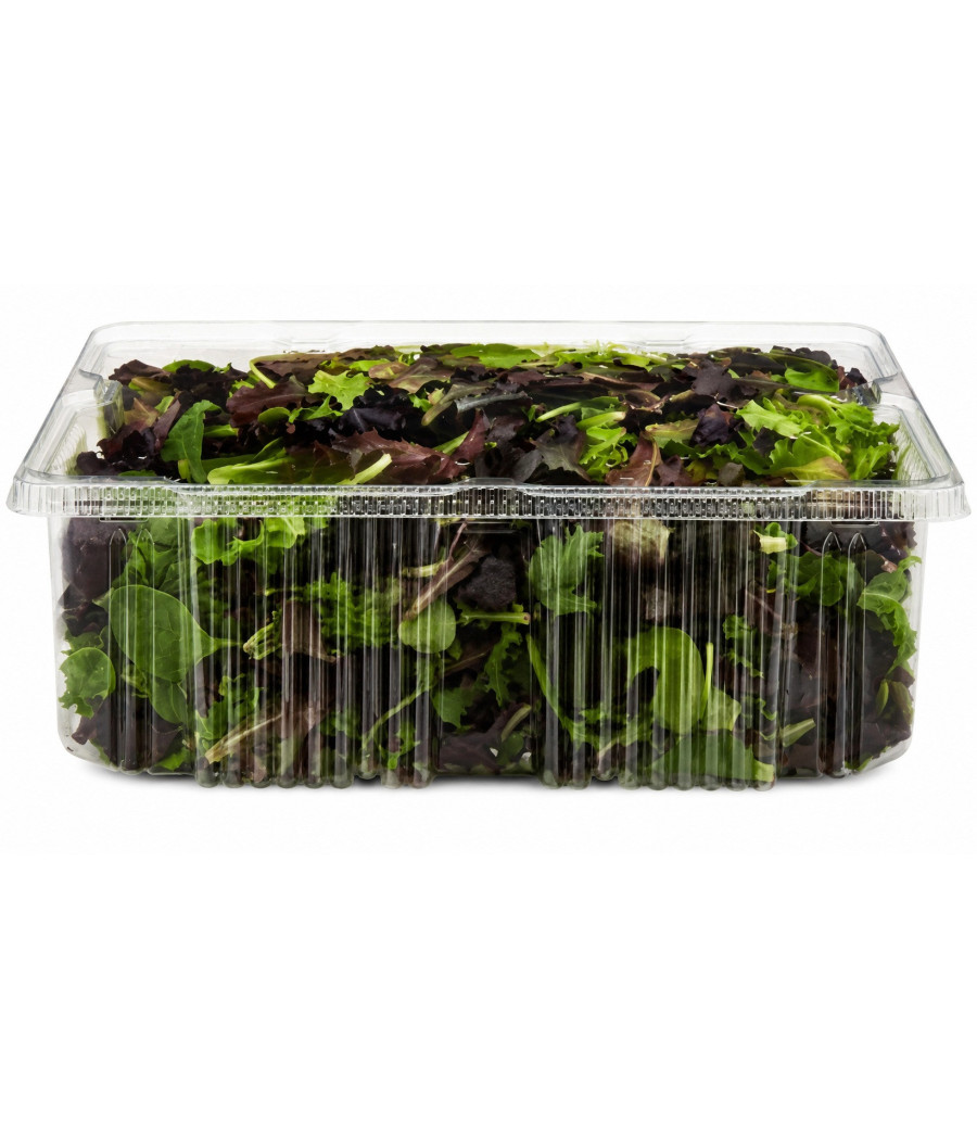 MELANGE DE JEUNES POUSSES ORIGINE UE  BARQUETTE DE 1 KG