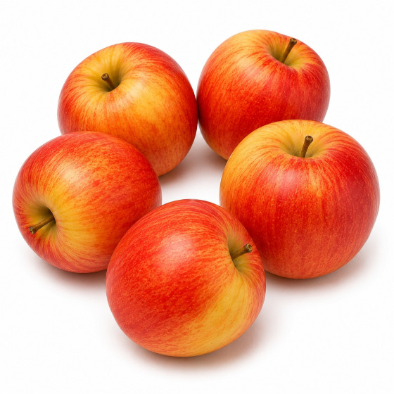 POMME BICOLORE ROYAL GALA ORIGINE AFRIQUE DU SUD