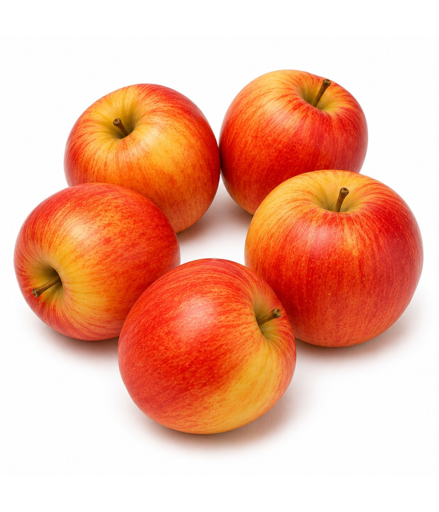 POMME BICOLORE ROYAL GALA ORIGINE AFRIQUE DU SUD