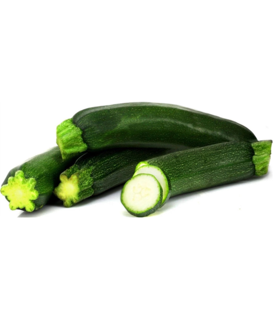 COURGETTE EXTRA ORIGINE MAYOTTE