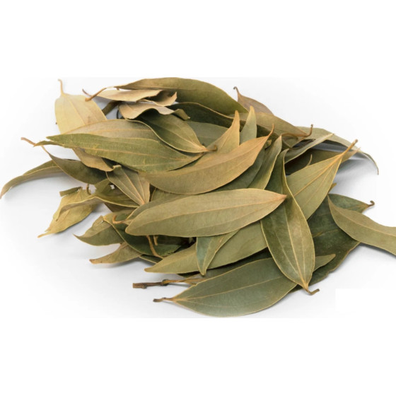 FEUILLE DE CANNELLE BIO ORIGINE MAYOTTE