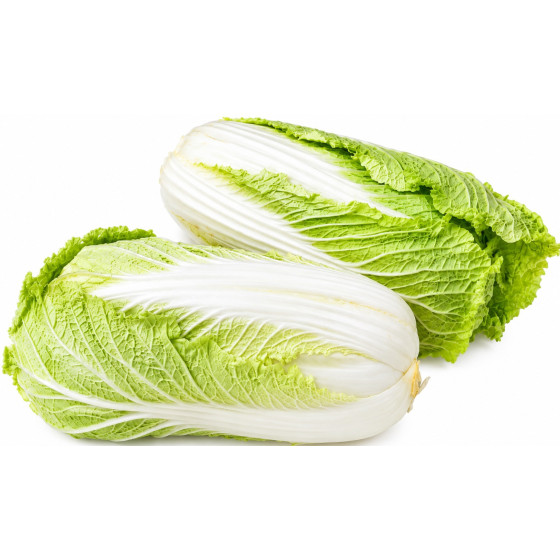 CHOU CHINOIS EXTRA PRODUIT MAYOTTE