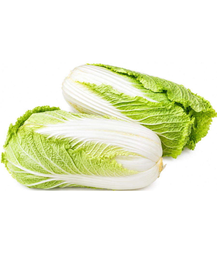 CHOU CHINOIS EXTRA PRODUIT MAYOTTE