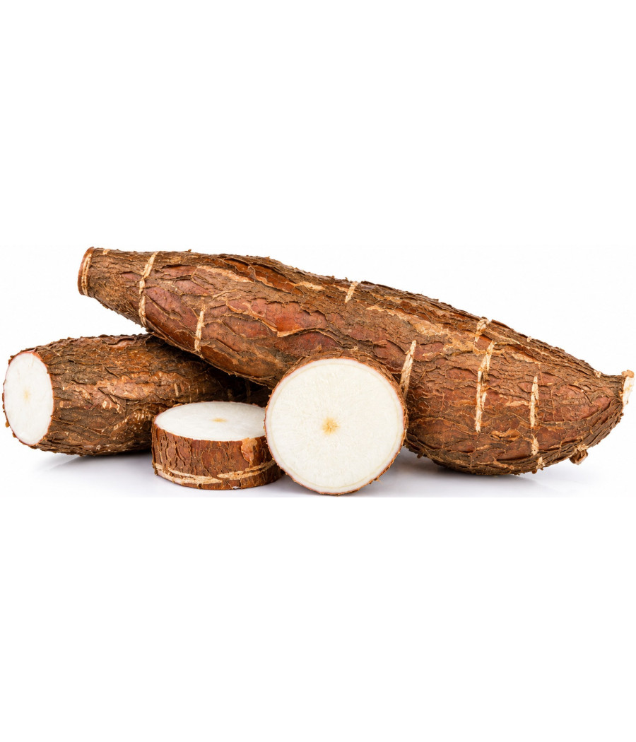 MANIOC RACINE EXTRA ORIGINE MAYOTTE