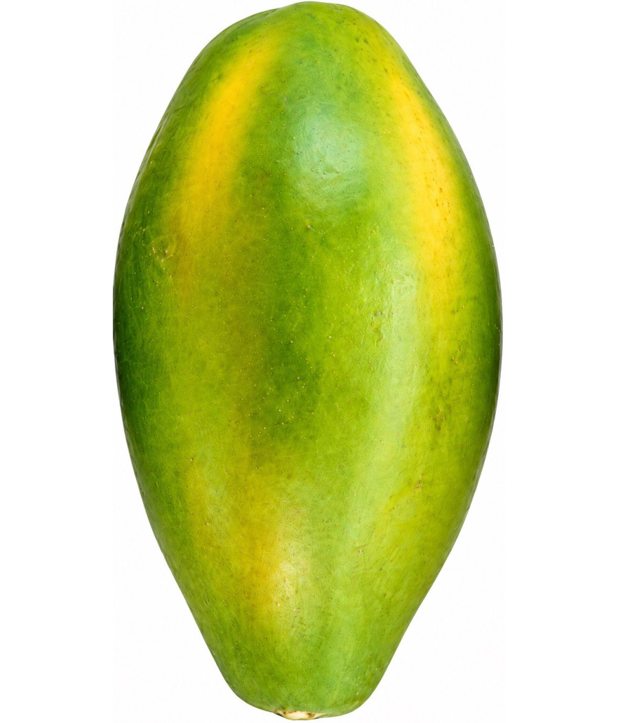 PAPAYE SOLO EXTRA ORIGINE MAYOTTE