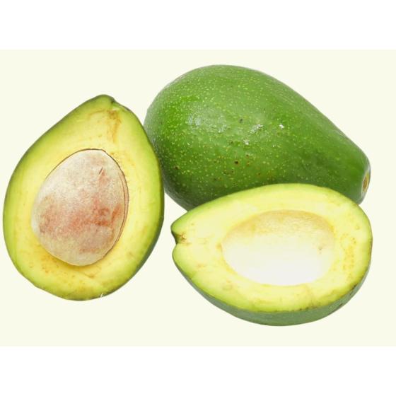 AVOCAT TROPICAL ORIGINE : BRESIL CALIBRE : 10 PACK DE 5