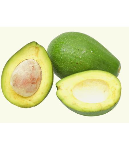 AVOCAT TROPICAL ORIGINE : BRESIL CALIBRE : 10 PACK DE 5