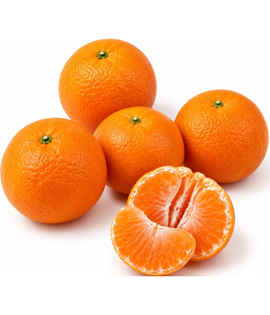 MANDARINE LEANRI SWEETC  ORIGINE AFRIQUE DU SUD