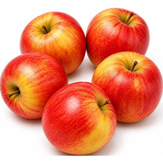 POMME BICOLORE ROYAL GALA ORIGINE AFRIQUE DU SUD