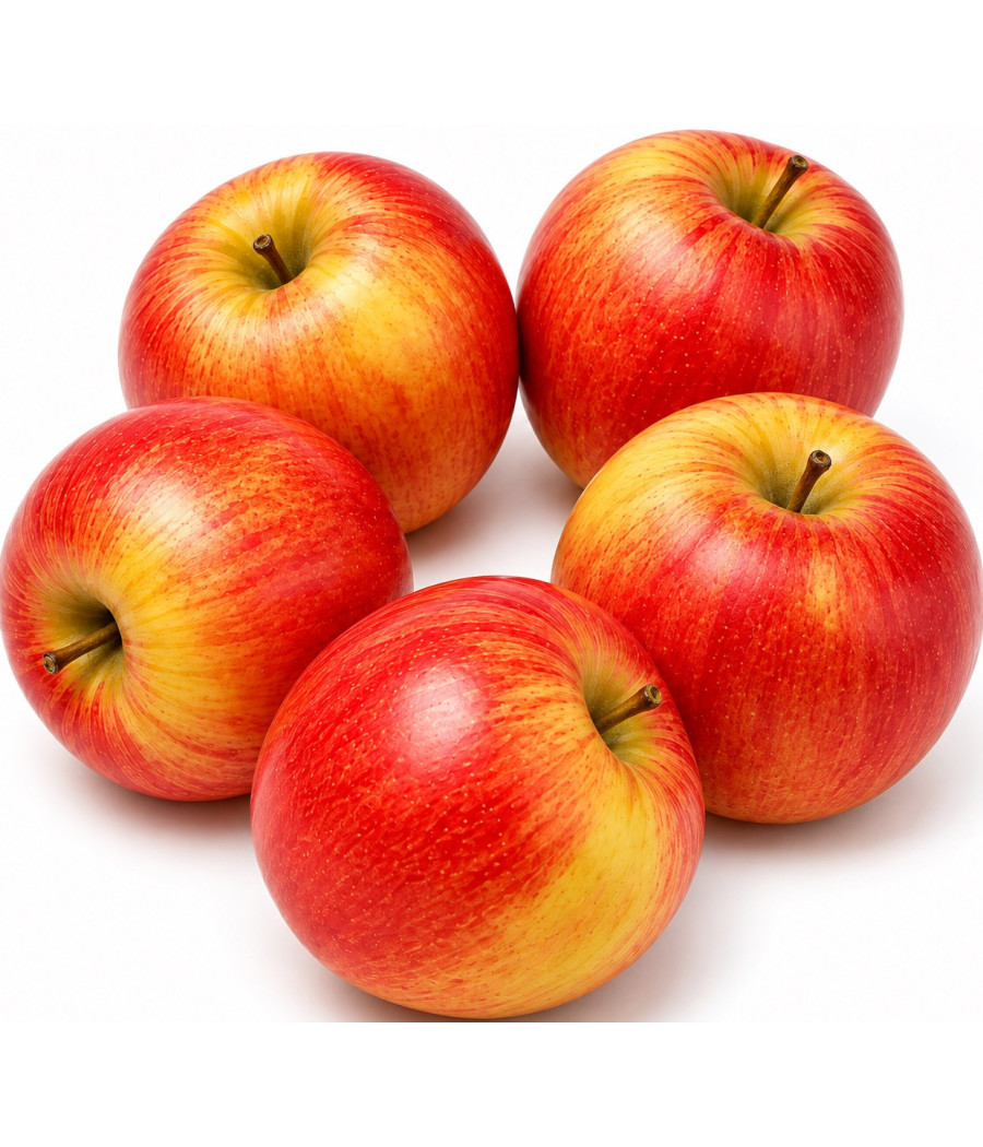 POMME BICOLORE ROYAL GALA ORIGINE AFRIQUE DU SUD
