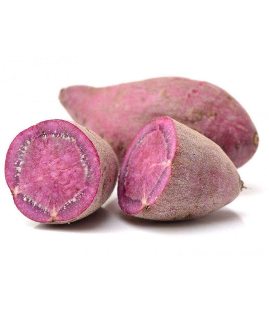 PATATE DOUCE (VIOLETTE A CHAIR VIOLETTE) ORIGINE : PORTUGAL PACK DE 6 PATATE DOUCE (VIOLETTE A CHAIR VIOLETTE) ORIGINE : PORTUGAL PACK DE 6