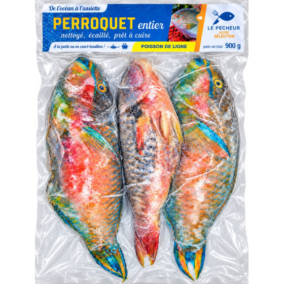 PERROQUET VESO CONGELE 900G