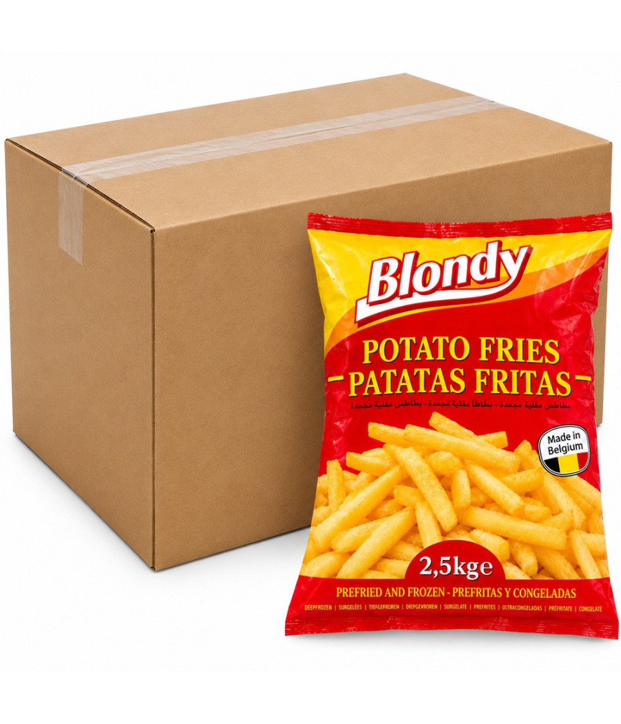 FRITES AU FOUR 9/9 BLONDY SURGELÉES GRADE C  CARTON 4X2,5KG (10 KG)
