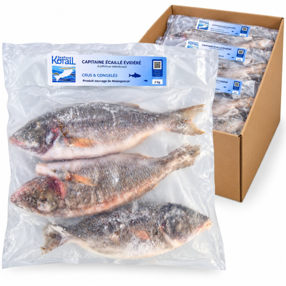 POISSON CAPITAINE VESO SURGELÉ ORIGINE MADAGASCAR CARTON 16 KG